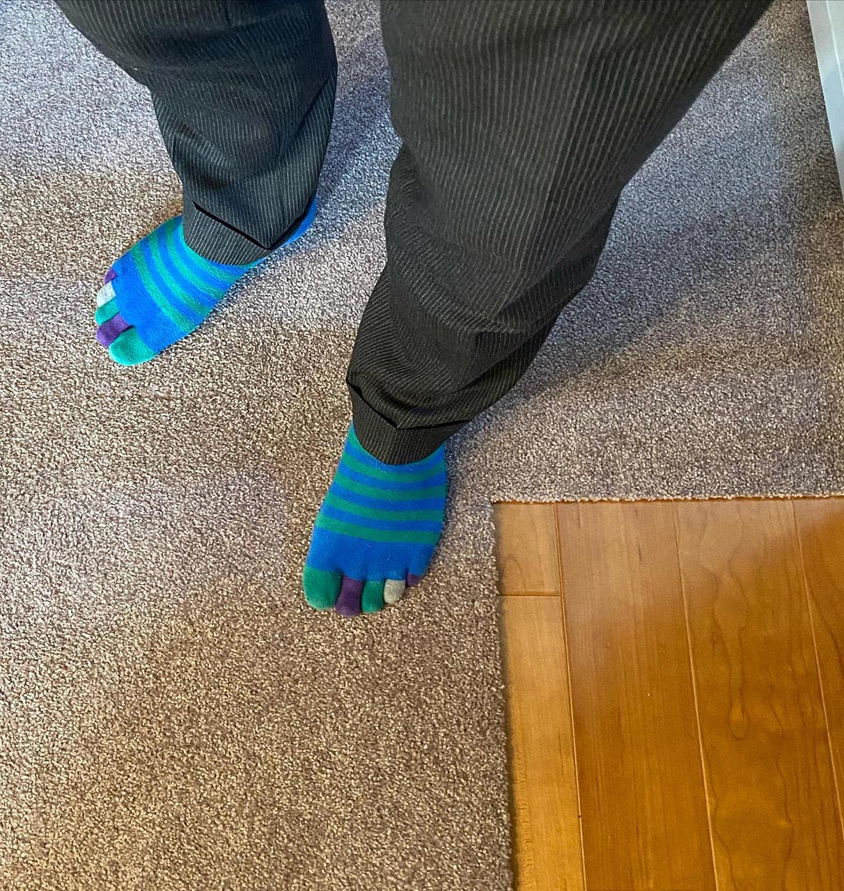 飾磨断熱改修：愛犬家を悩ませる床